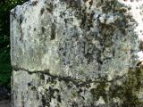 image of grave number 206127